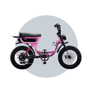 Flight Risk FR333 eBike  6 Months Free Service - PINK image 1