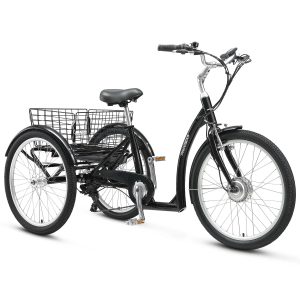 Progear E-Free 24" E-Trike 6 Months Free Service image 1