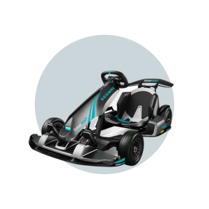 Segway Go Kart PRO 2 Model 2025 6 Months Free Service image 1