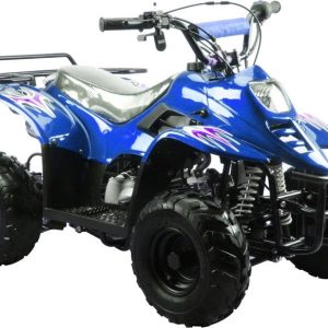 TrailMaster Mini Sport ATV 110, Gas Engine with Remote Start/Kill, Speed Governor, 6-inch Wheels, Kids Ages 4-9
