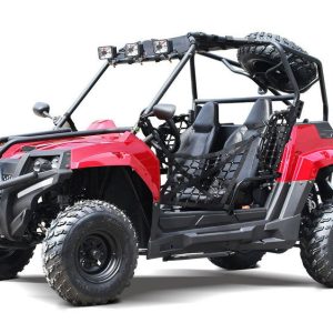 Victory 200 UTV Side-by-Side, Electric Start, Automatic with Reverse, Ages 16 and up